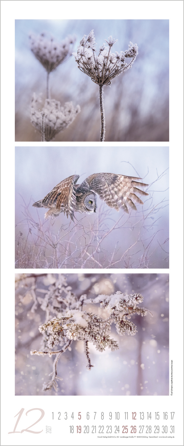 Colour Triplets 2027, Innenansicht #12