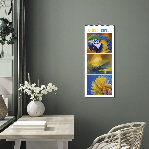 Colour Triplets 2027, Innenansicht #16