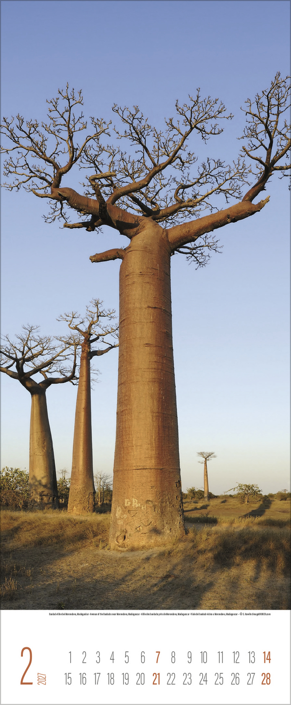 B&auml;ume 2027, Innenansicht #2