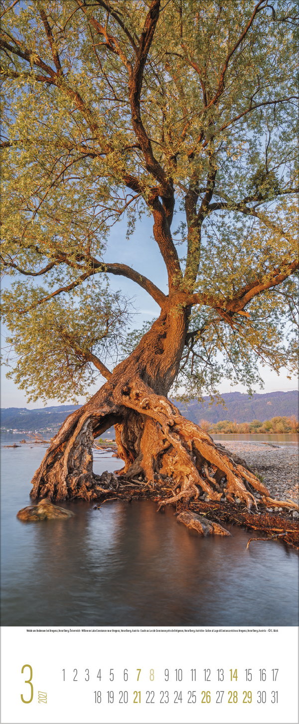 B&auml;ume 2027, Innenansicht #3