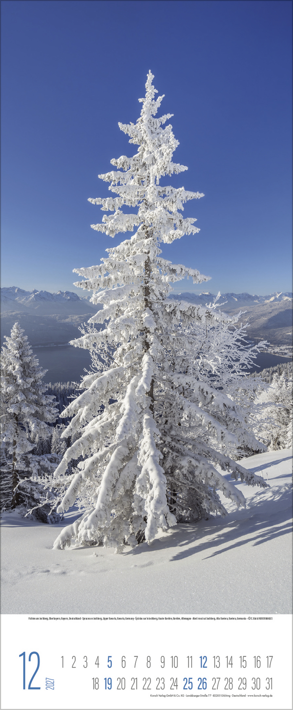 B&auml;ume 2027, Innenansicht #12