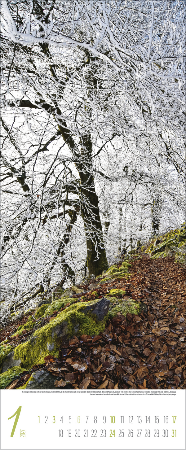 Zauberhafte Wege 2027, Innenansicht #1