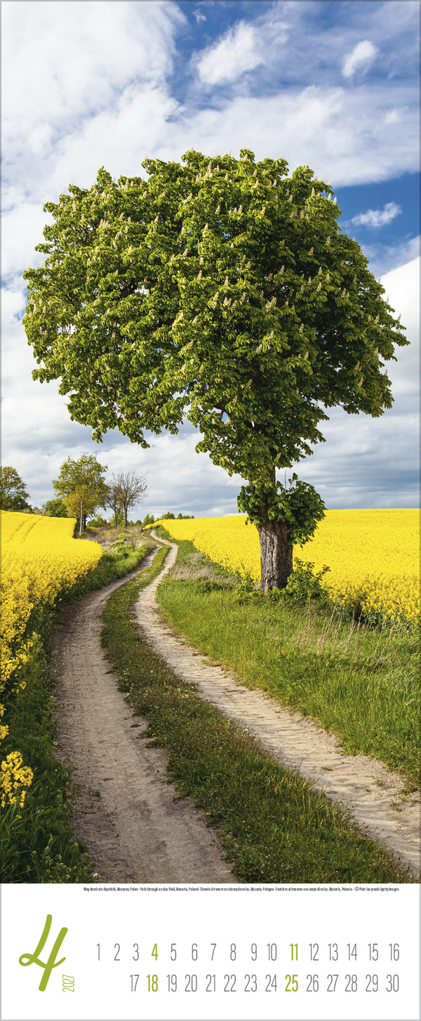 Zauberhafte Wege 2027, Innenansicht #4