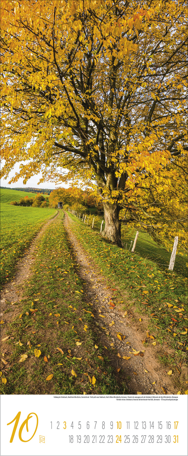 Zauberhafte Wege 2027, Innenansicht #10