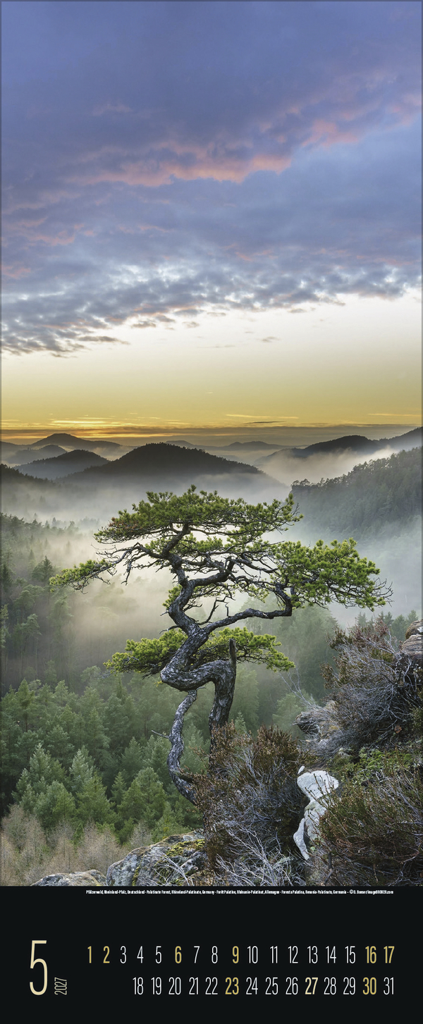 Spirit of Earth 2027, Innenansicht #5