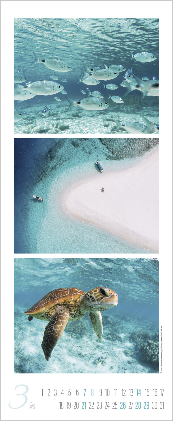 Meeresrauschen 2027, Innenansicht #3