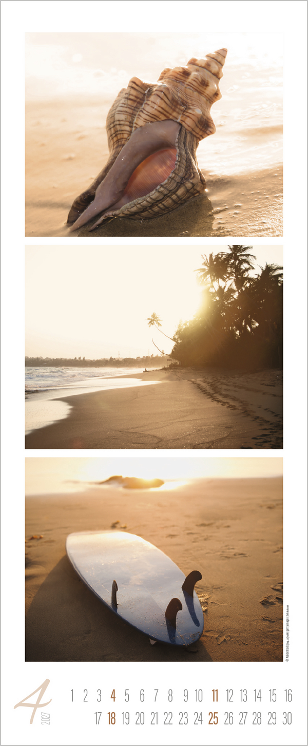 Meeresrauschen 2027, Innenansicht #4