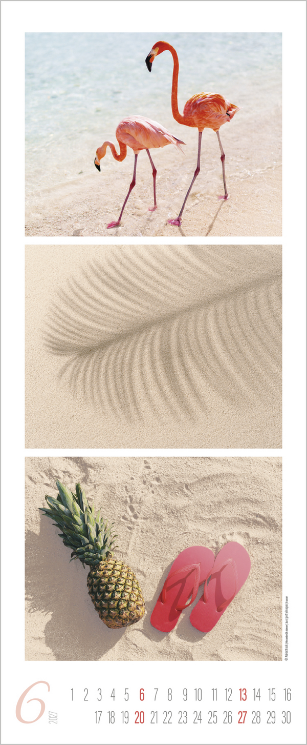 Meeresrauschen 2027, Innenansicht #6