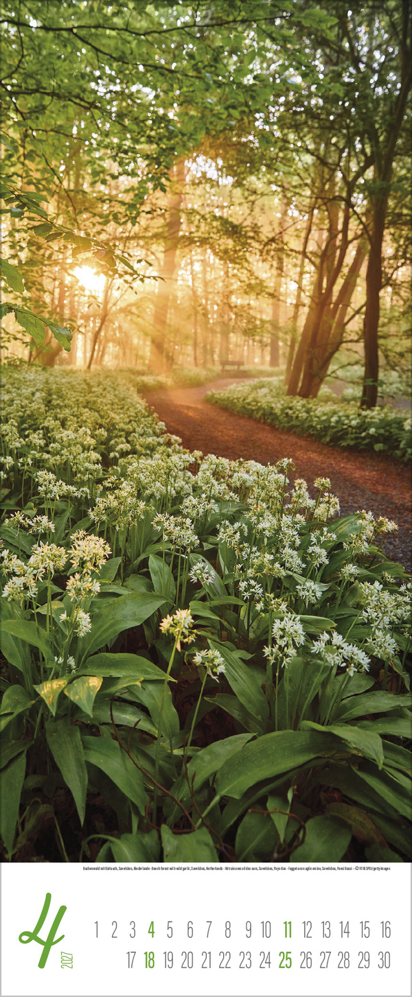 Augenblicke der Stille 2027, Innenansicht #4