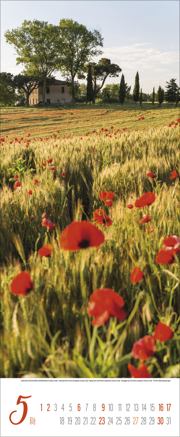 Augenblicke der Stille 2027, Innenansicht #5