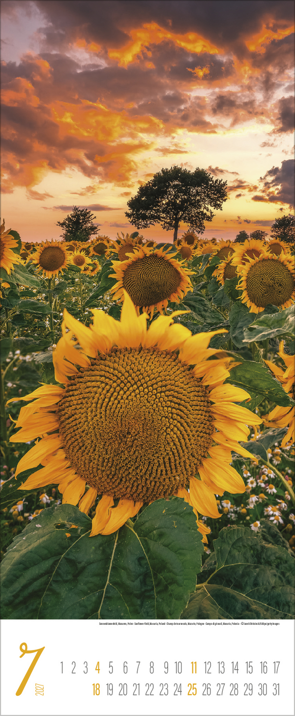 Augenblicke der Stille 2027, Innenansicht #7