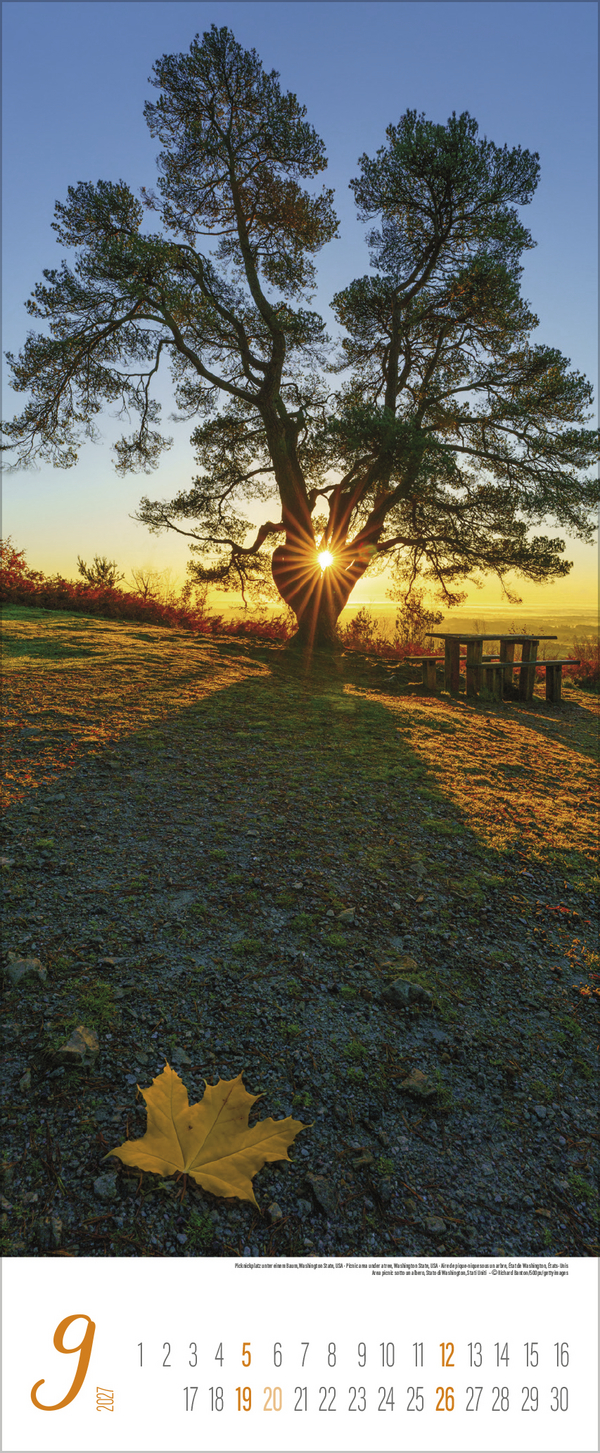 Augenblicke der Stille 2027, Innenansicht #9