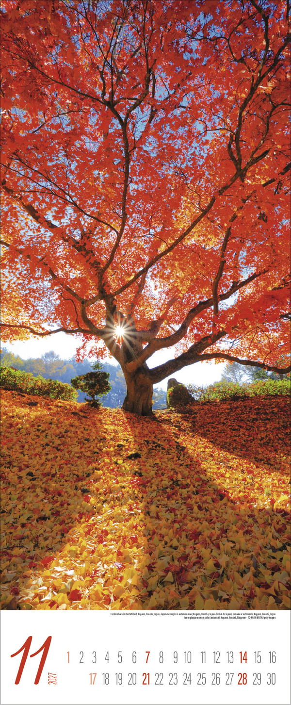 Augenblicke der Stille 2027, Innenansicht #11