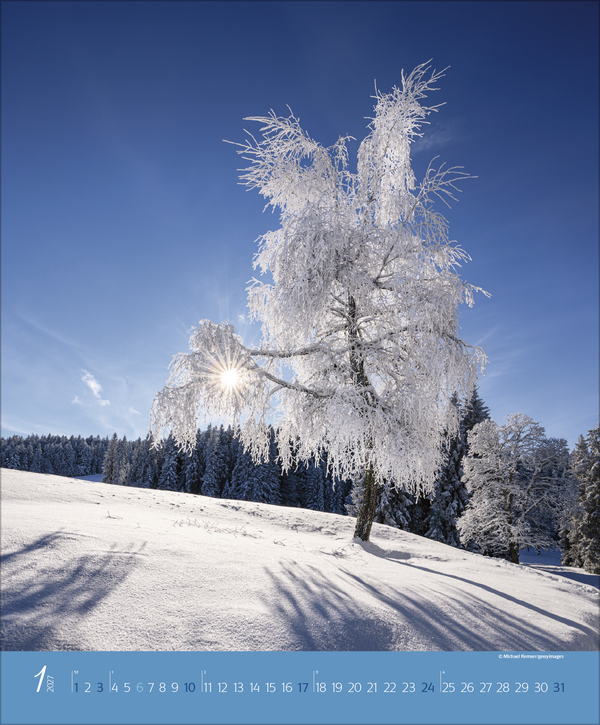 Augenblicke im Wald 2027, Innenansicht #1