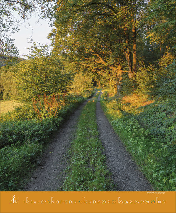 Augenblicke im Wald 2027, Innenansicht #8