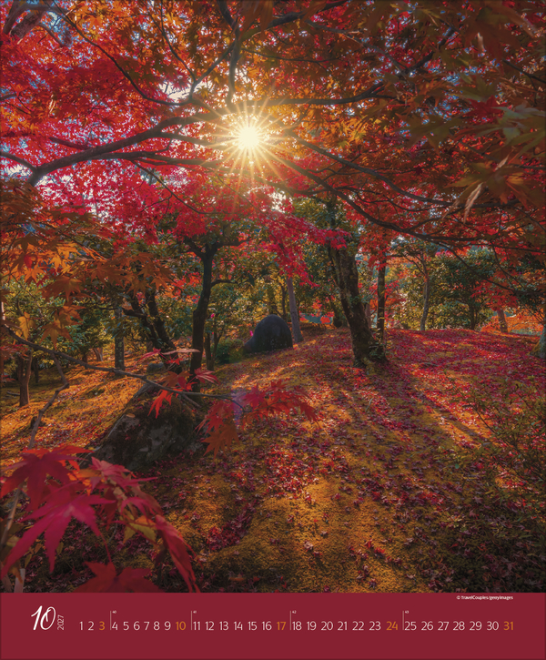 Augenblicke im Wald 2027, Innenansicht #10