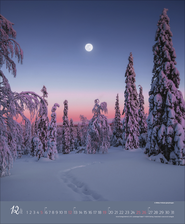 Augenblicke im Wald 2027, Innenansicht #12