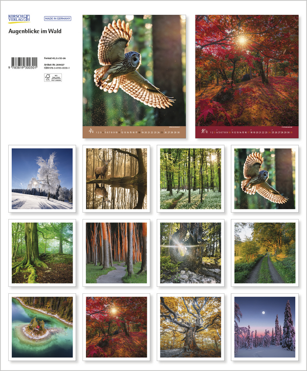 Augenblicke im Wald 2027, Innenansicht #13