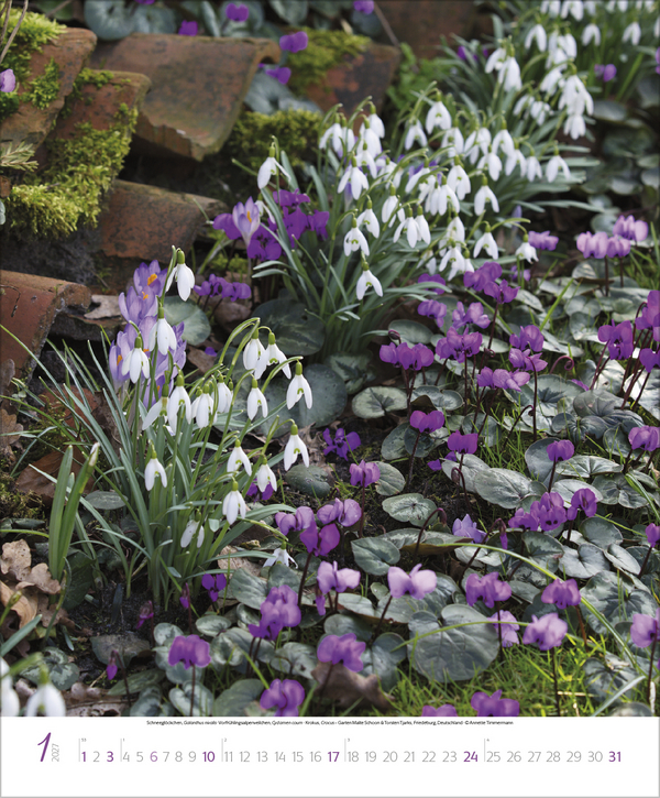 Geheime G&auml;rten 2027, Innenansicht #1