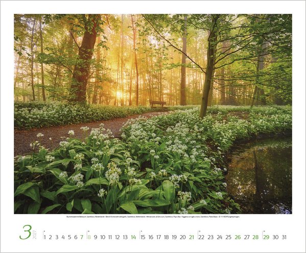 Augenblicke der Stille 2027, Innenansicht #3