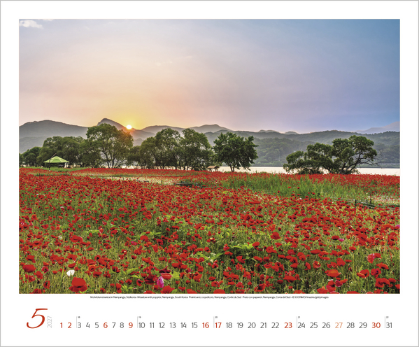 Augenblicke der Stille 2027, Innenansicht #5