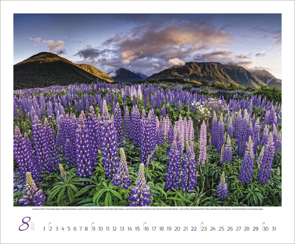 Augenblicke der Stille 2027, Innenansicht #8