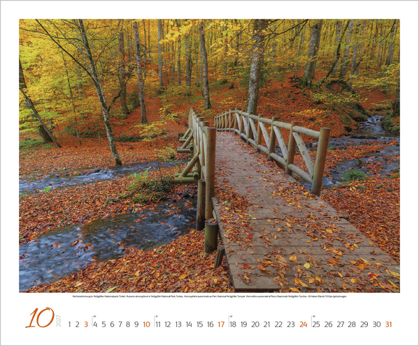 Augenblicke der Stille 2027, Innenansicht #10