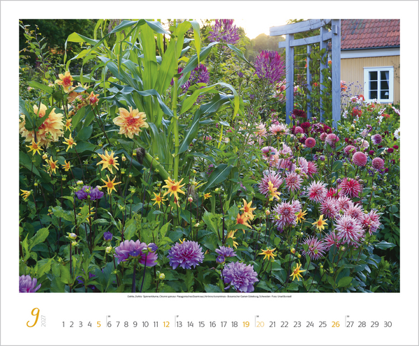 Gartentr&auml;ume 2027, Innenansicht #9