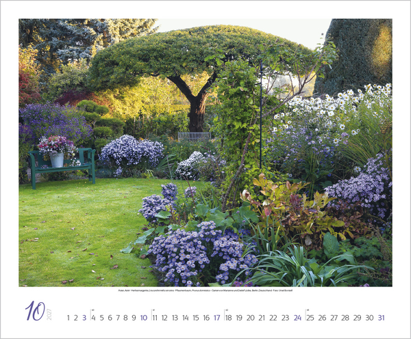 Gartentr&auml;ume 2027, Innenansicht #10