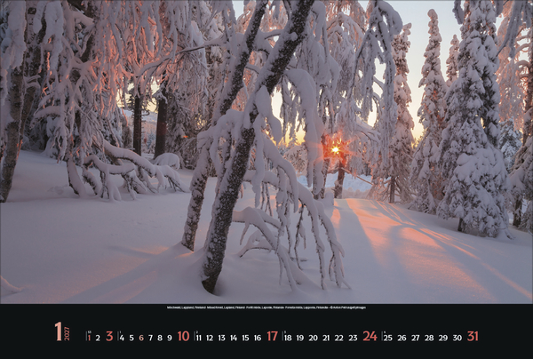 Magische W&auml;lder 2027, Innenansicht #1