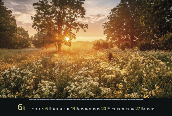 Magische W&auml;lder 2027, Innenansicht #6