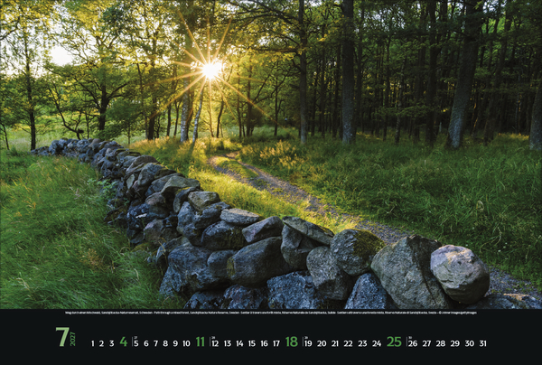 Magische W&auml;lder 2027, Innenansicht #7