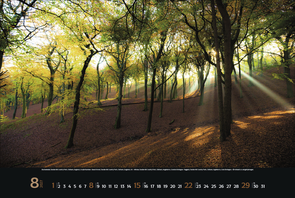 Magische W&auml;lder 2027, Innenansicht #8