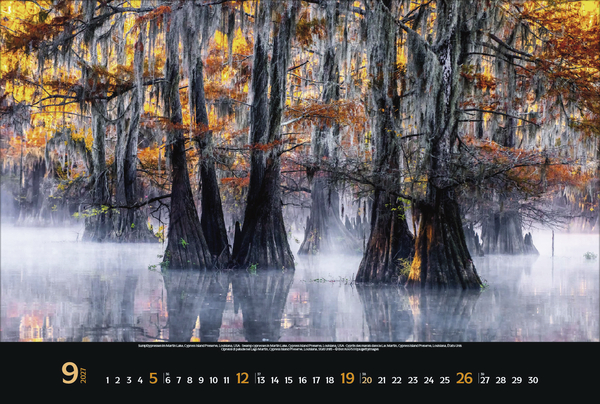 Magische W&auml;lder 2027, Innenansicht #9