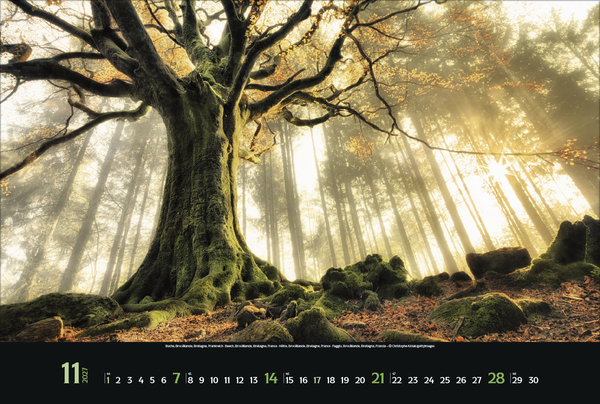 Magische W&auml;lder 2027, Innenansicht #11