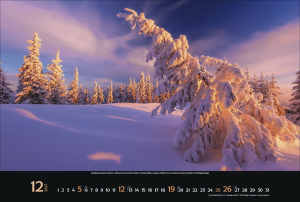 Magische W&auml;lder 2027, Innenansicht #12