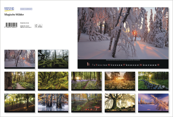 Magische W&auml;lder 2027, Innenansicht #13