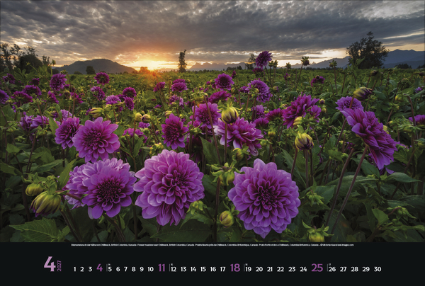 Spirit of Earth 2027, Innenansicht #4