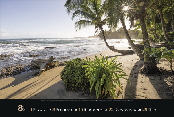 Spirit of Earth 2027, Innenansicht #8