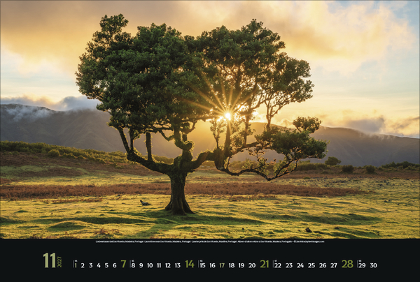 Spirit of Earth 2027, Innenansicht #11