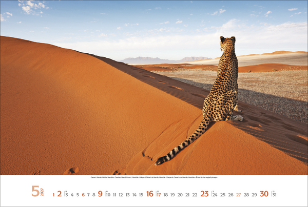 Sehnsuchtsorte 2027, Innenansicht #5