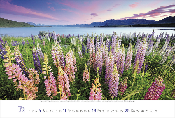 Sehnsuchtsorte 2027, Innenansicht #7