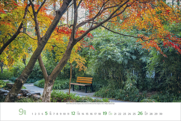 Lieblingspl&auml;tze 2027, Innenansicht #9