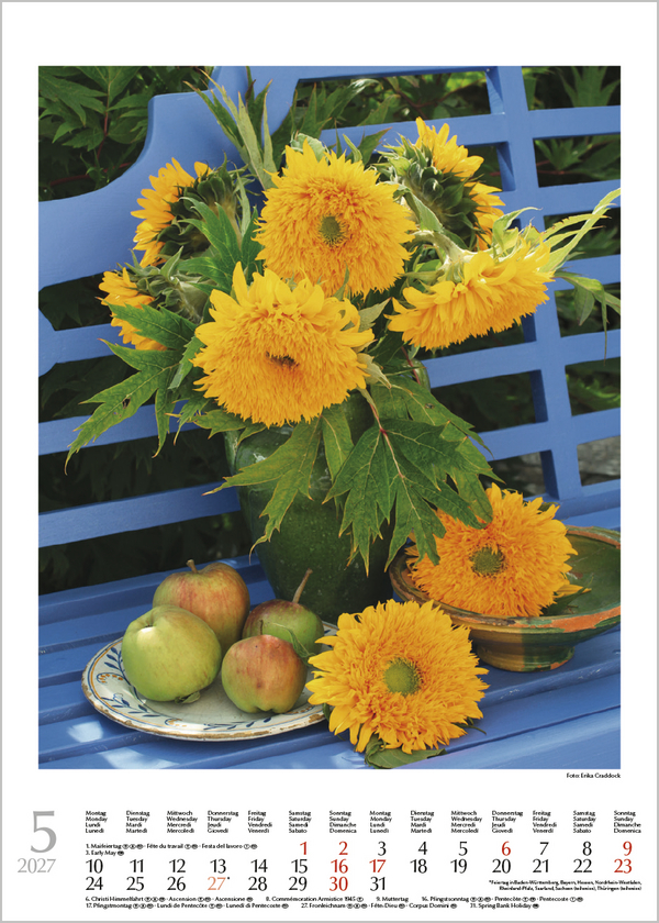 Blumentr&auml;ume 2027, Innenansicht #5