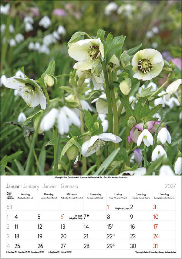 Bl&uuml;tenzauber 2027, Innenansicht #1