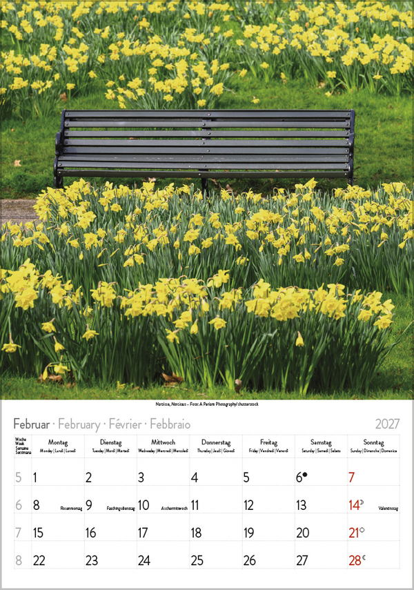 Bl&uuml;tenzauber 2027, Innenansicht #2