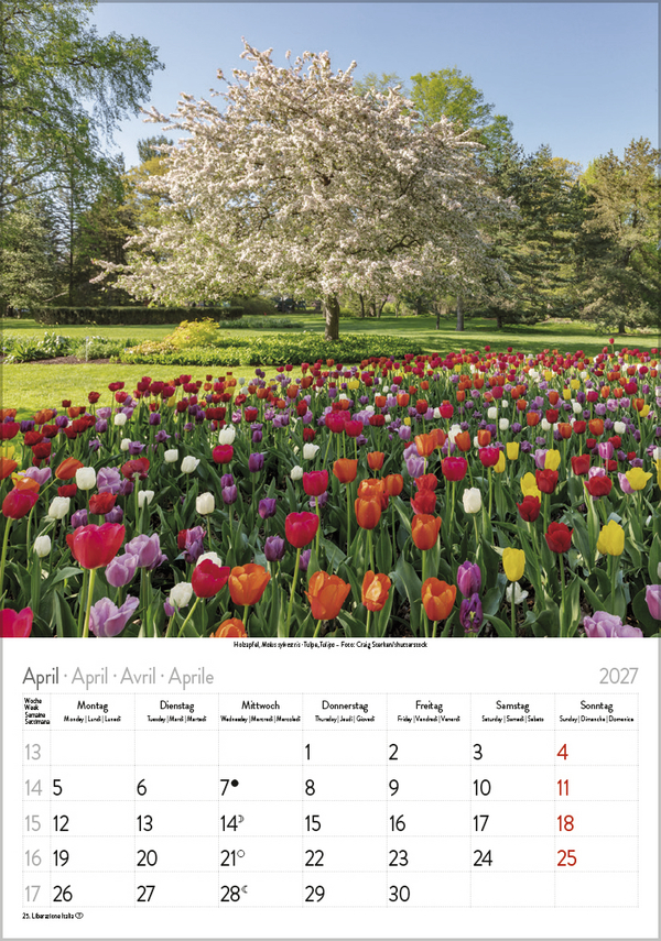 Bl&uuml;tenzauber 2027, Innenansicht #4