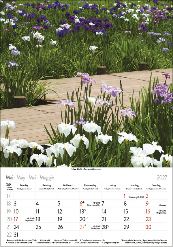 Bl&uuml;tenzauber 2027, Innenansicht #5