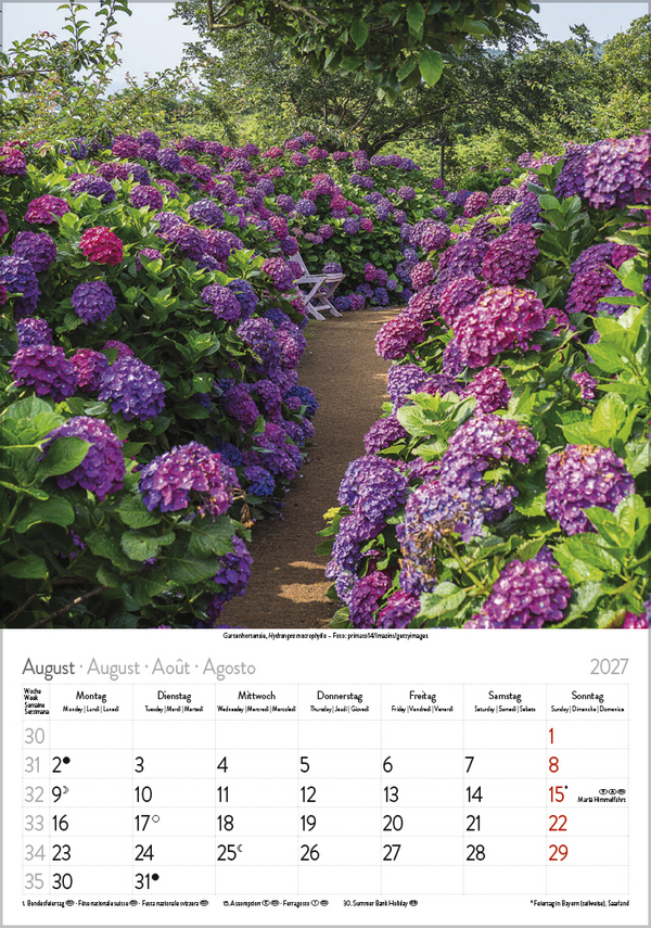 Bl&uuml;tenzauber 2027, Innenansicht #8