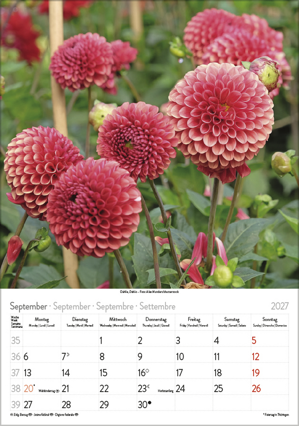 Bl&uuml;tenzauber 2027, Innenansicht #9